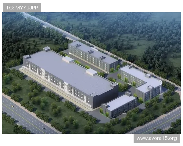 凯发：一个企业崛起背后的暗流与机遇交织