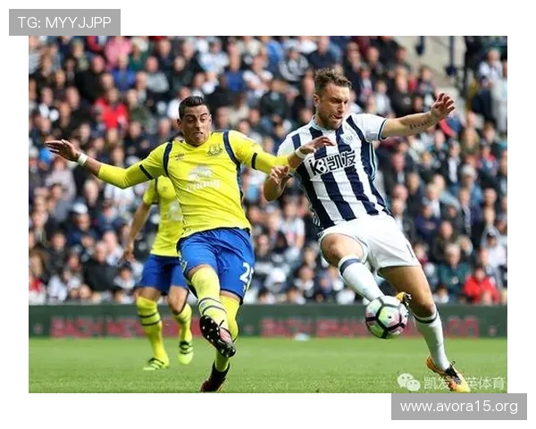 K8体育网玩法新变化：最新玩法规则更新及应对策略全面解读