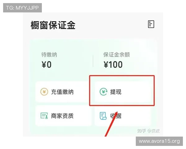 凯发九游娱乐手机网址提现指南，帮助玩家顺利完成收益提现流程