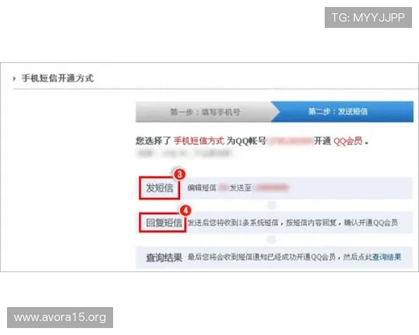 提升凯发登陆网会员注册成功率的实用技巧与注意事项详解