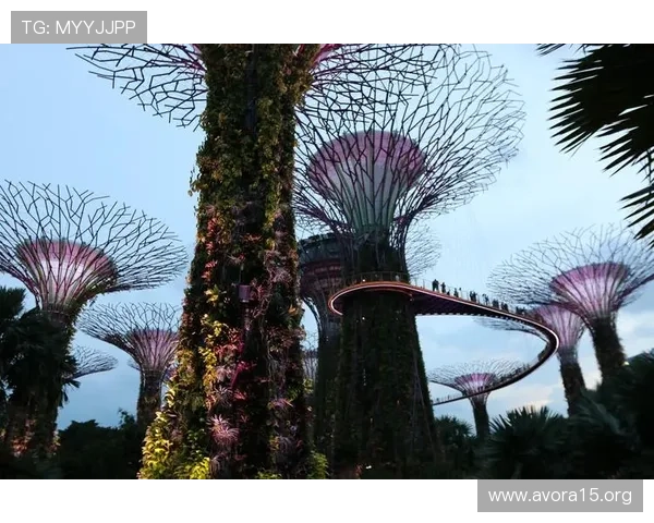 滨海湾金沙娱乐场:探索新加坡最具代表性的豪华娱乐综合体 滨海湾金沙娱乐场:探索新加坡最具代表性的豪华娱乐综合体