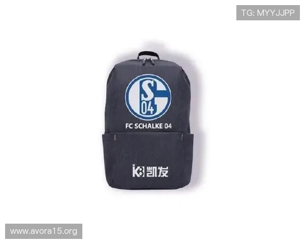 凯发k8国际首页安全支付方式介绍保障玩家资金安全与交易便捷